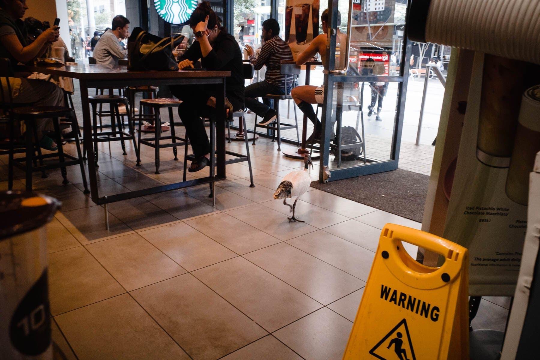 Image of Starbucks George St